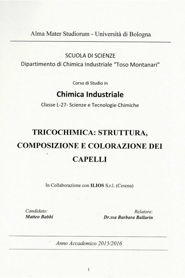 Pubblicazioni tesi Marco Morigi 4