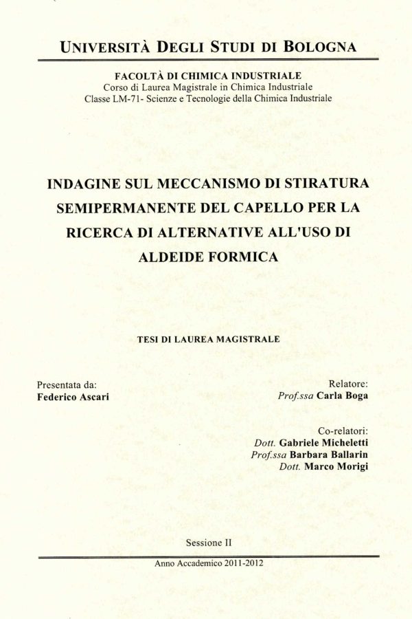 Pubblicazioni tesi Marco Morigi 3